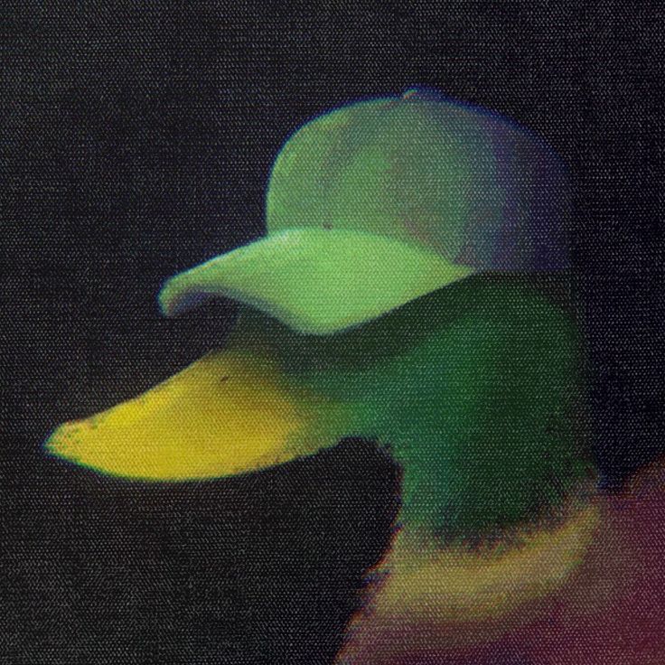 Hood Duck